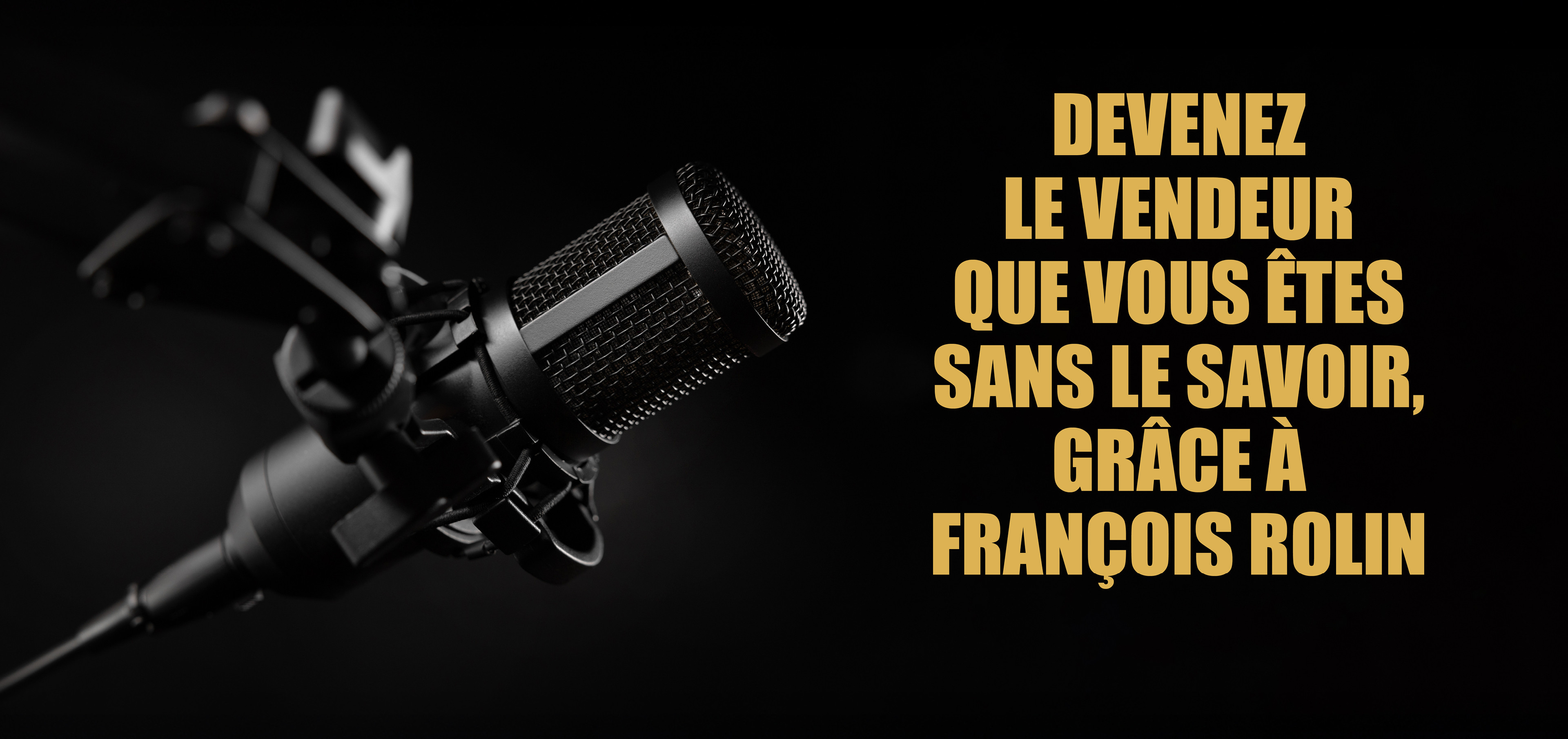 Visuel des créations réalisées par plate ou Gazeuse pour François Rolin